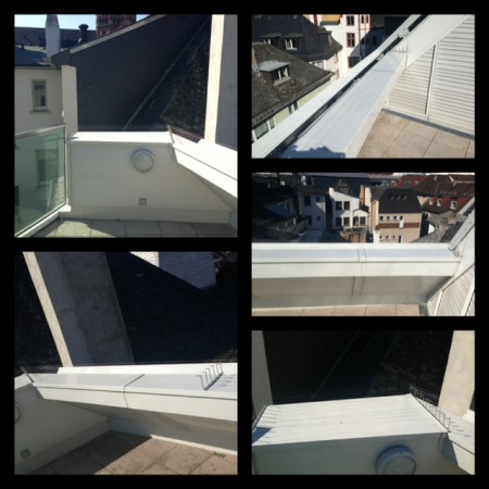 Taubenabwehr über den Dächern von Mainz